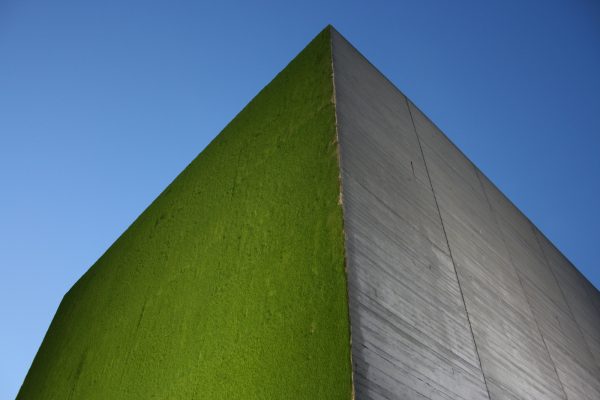 Monumental growing green wall