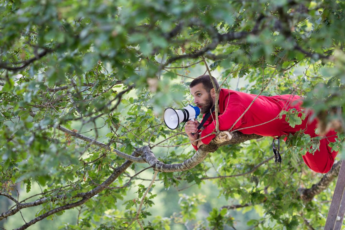 Man perched high in a tree canopy calls with a megaphone.
