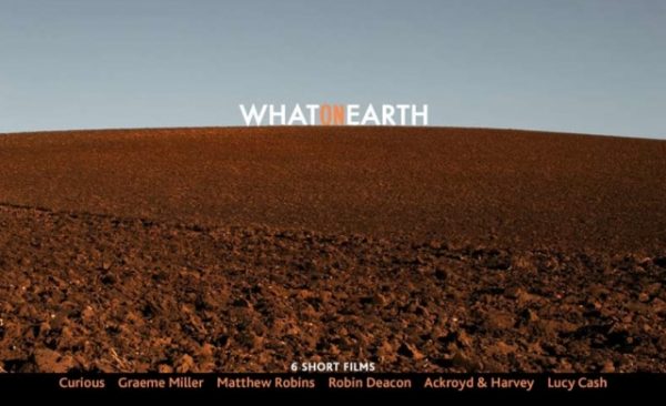 What On Earth - Curious, Graeme Miller, Matthew Robins, Robin Deacon, Ackroyd & Harvey, Lucy Cash