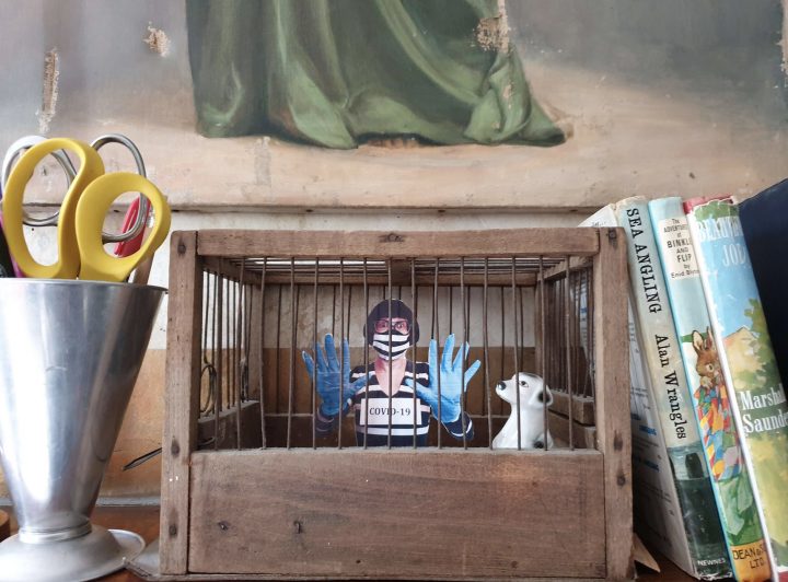 a pot of scissors, books and a wooden and metal cage on a shelf. inside the cage is a little person and a dog. the person is wearing a mask and gloves