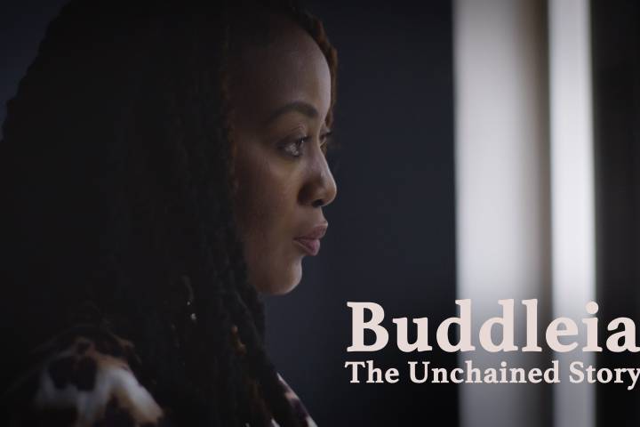 Buddleia: The Unchained Story Film Poster. The poster has a side profile of Brenda Birungi staring into the distance. Brenda is a black woman with braids.