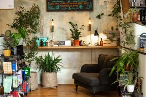 Bookshelves, books, plants and an armchair in the corner of a cafe