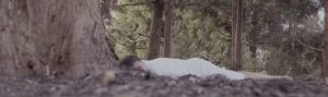 Person lying on the ground in a forest wearing a white gown