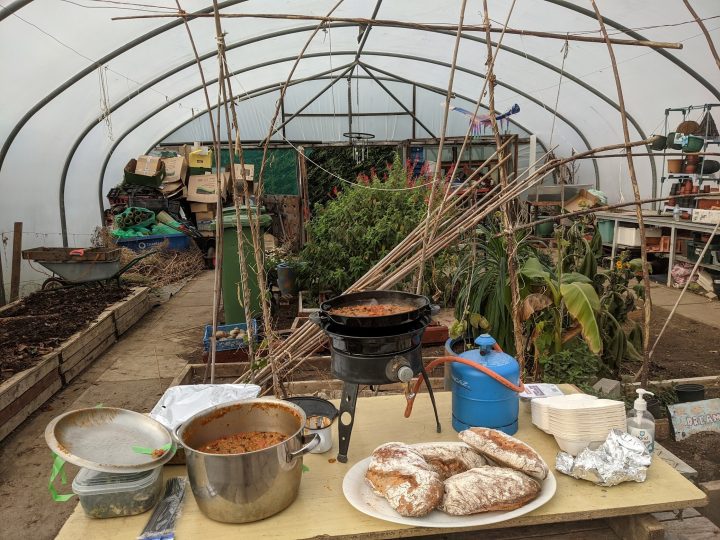 an urban farm with food and plants