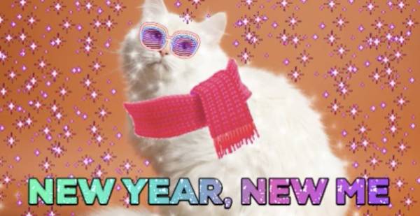 cat wearing scarf saying 'new year, new me'