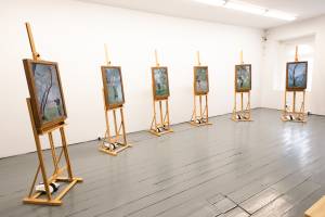 A landscape image of the Orchard Portrait installation space at Limerick City Gallery of Art. The room has white walls, black wooden floors and a wooden bench in the middle of the room. In the room are six screens on wooden easels. Each screen shows a video of a senior performer against a different branch