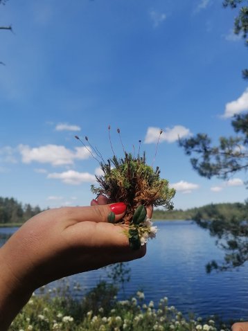 hand holding moss against a lake background