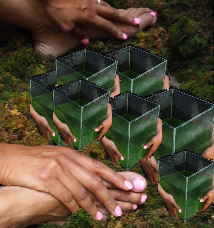 A collage of photos of Black women's hands and feet, combined with green mossy boxes and fractal reflections