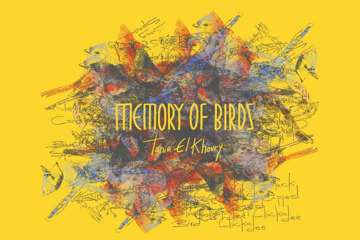 A yellow image with abstract illustration on, with 'Memory of Birds Tania El Khoury' written in the middle