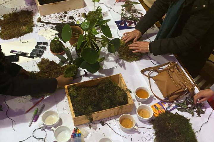 A group of people taking part in a workshop around a large table with plants and tea