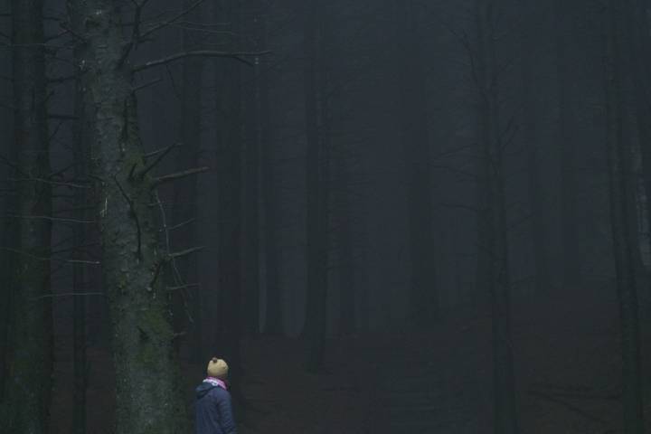 A photo of a person standing alone in a misty, atmospheric wood